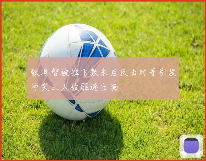 张淳智被推飞数米后反击对手引发冲突三人被驱逐出场