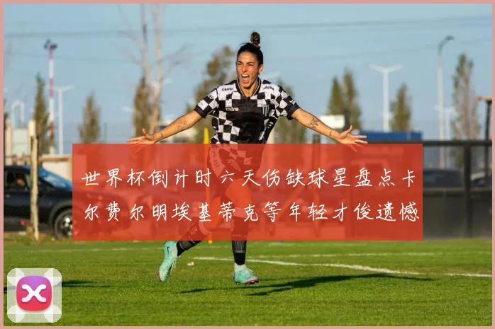 世界杯倒计时六天伤缺球星盘点卡尔费尔明埃基蒂克等年轻才俊遗憾缺席