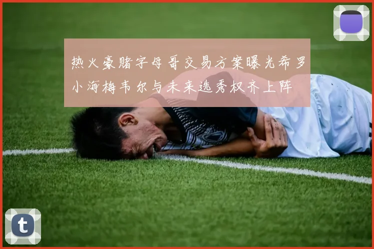 热火豪赌字母哥交易方案曝光希罗小海梅韦尔与未来选秀权齐上阵